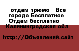 отдам трюмо - Все города Бесплатное » Отдам бесплатно   . Калининградская обл.